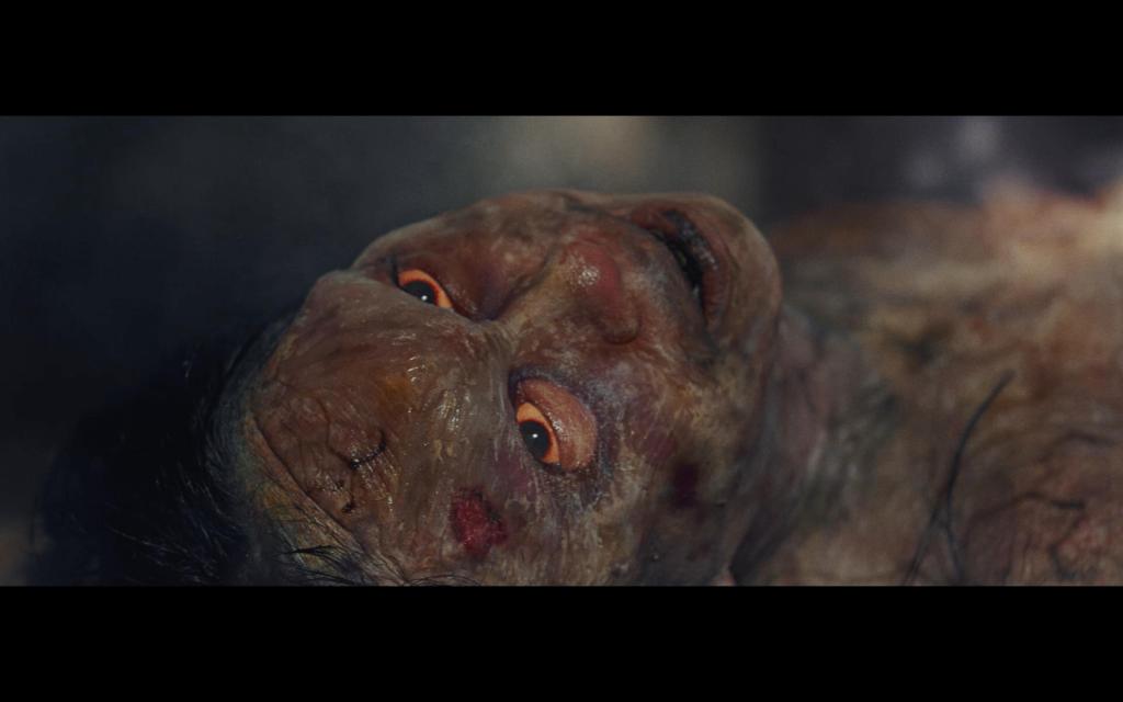 VOYAGE TO MOSQUITO LADY:FILMMAKER KRISTINE GEROLAGA SHARES HER JOURNEY TOWARD CREATING THE AWARD-WINNING&nbsp;FILM