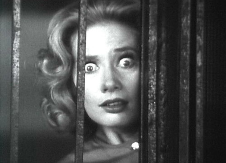 Gore in Greyscale: 10 Black and White Horror Films That Still&nbsp;Terrify