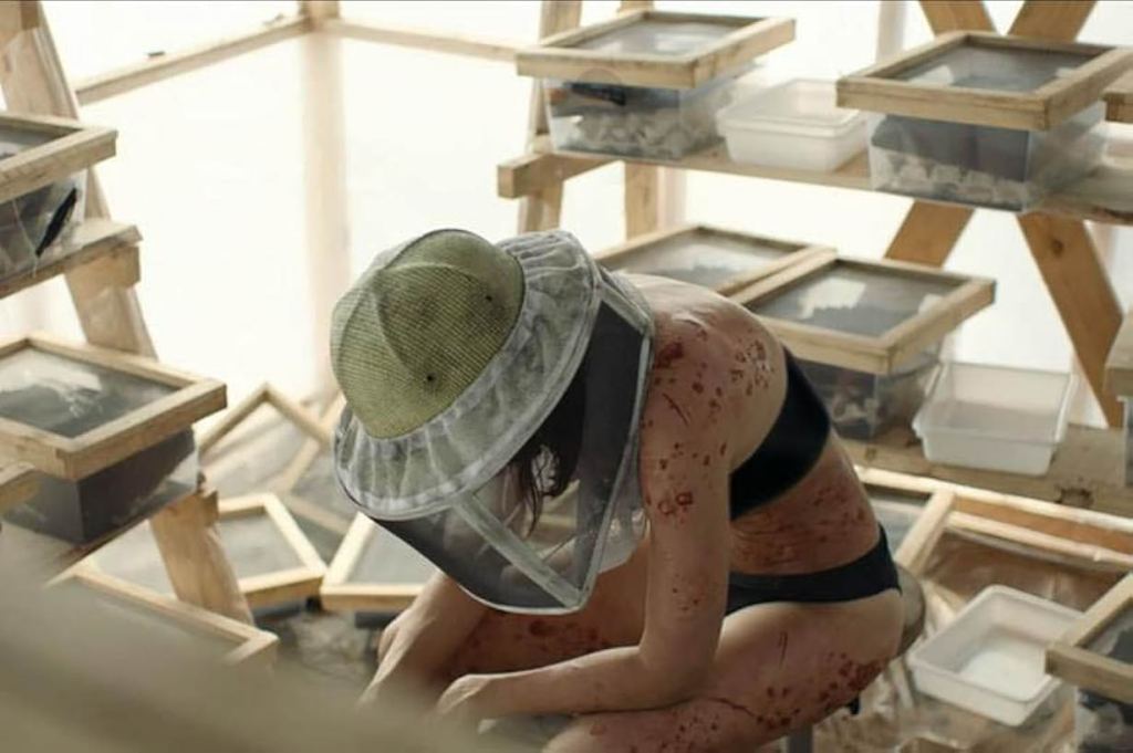 THE SWARM (La Nuée)&nbsp;(Review)