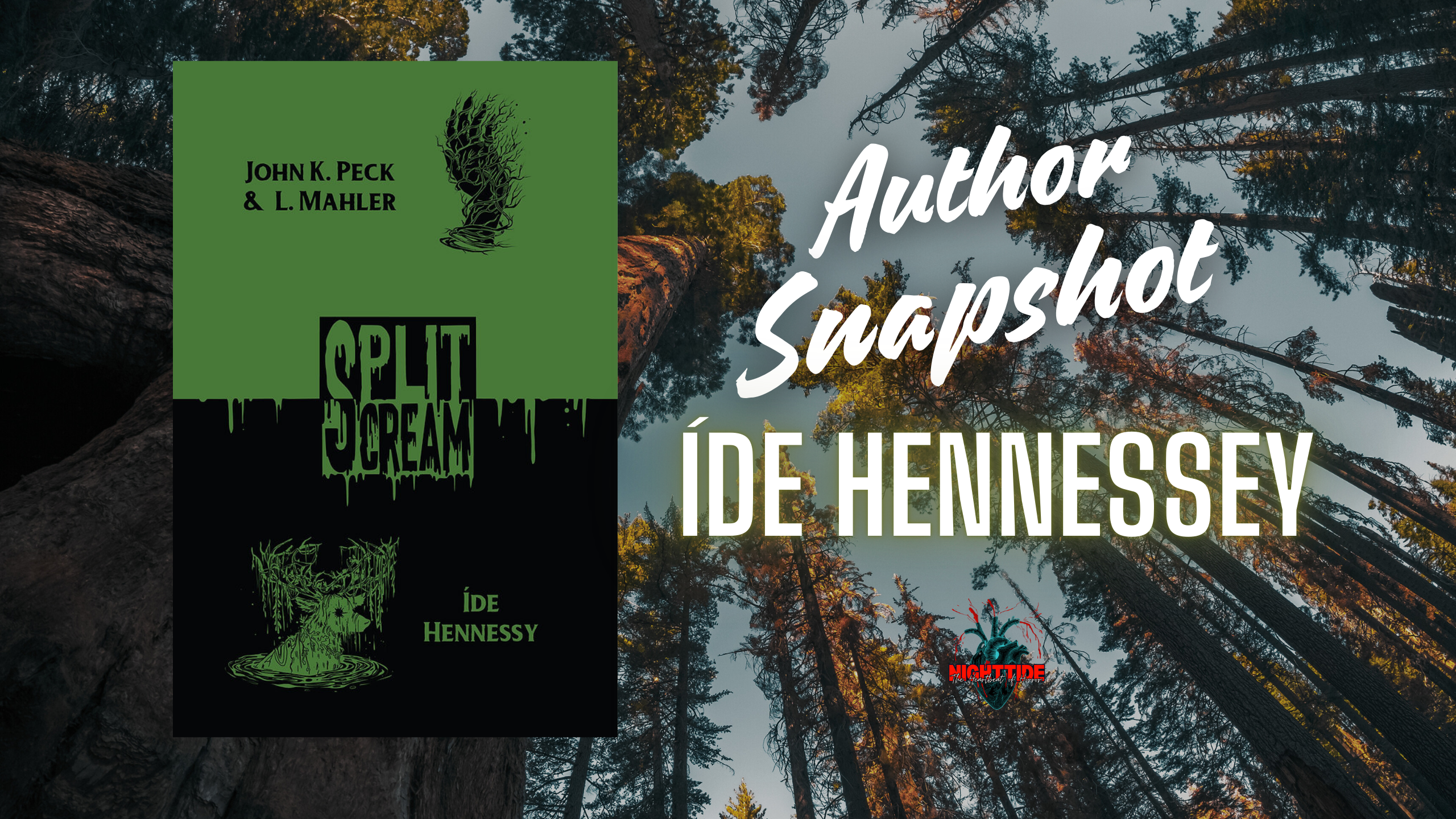 AUTHOR SNAPSHOT: ÍDE HENNESSEY