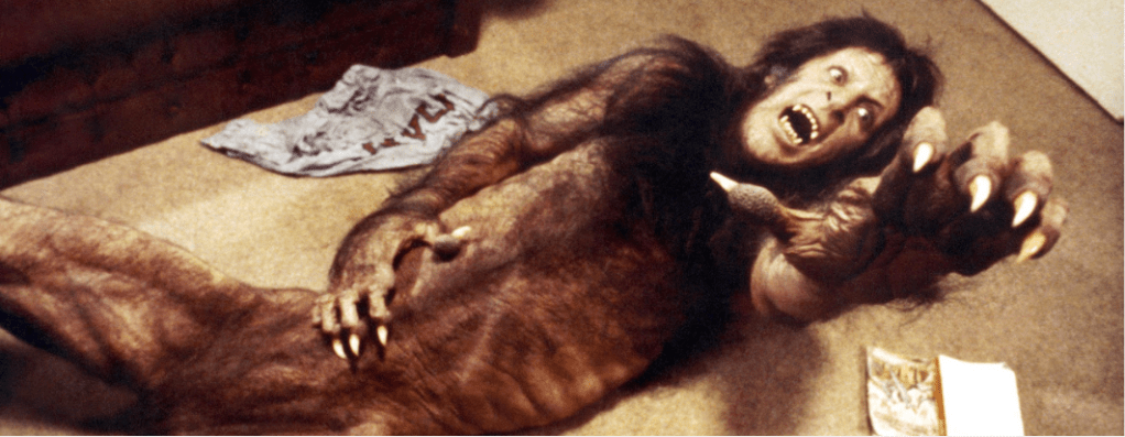 David Naughton in An American Werewolf in London (1981) Universal Pictures