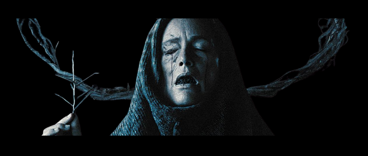 FAMILY, SNAKES, AND MOTHER OF FLIES: AN INTERVIEW WITH FILMMAKER TOBY POSER